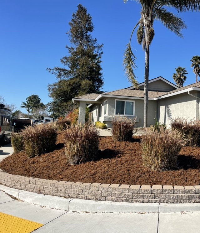 Corner flower bed with fresh brown mulch around ornamental grasses inside a low stone block border